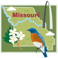 Missouri State graphic