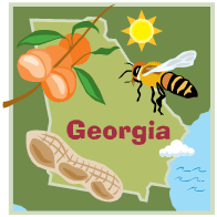Georgia State Graphic